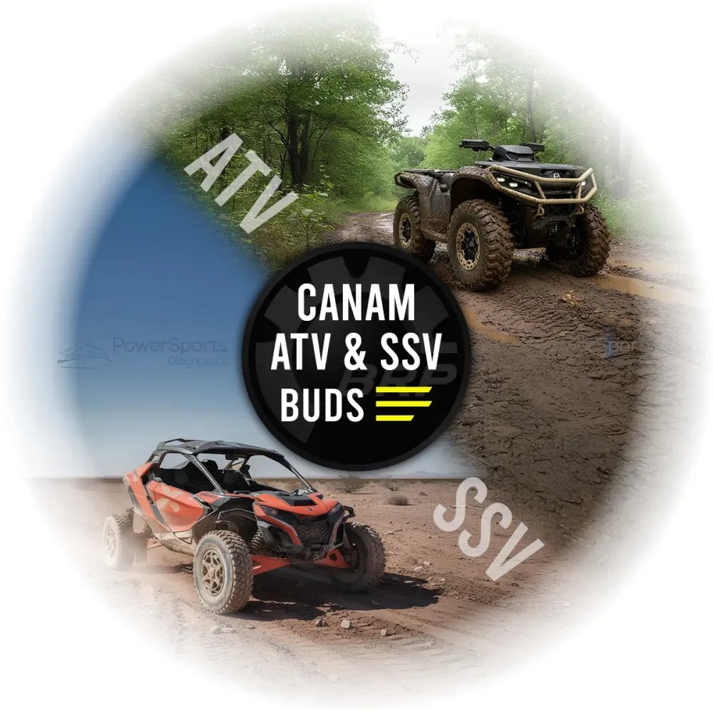 License ATV & SSV for BUDS3