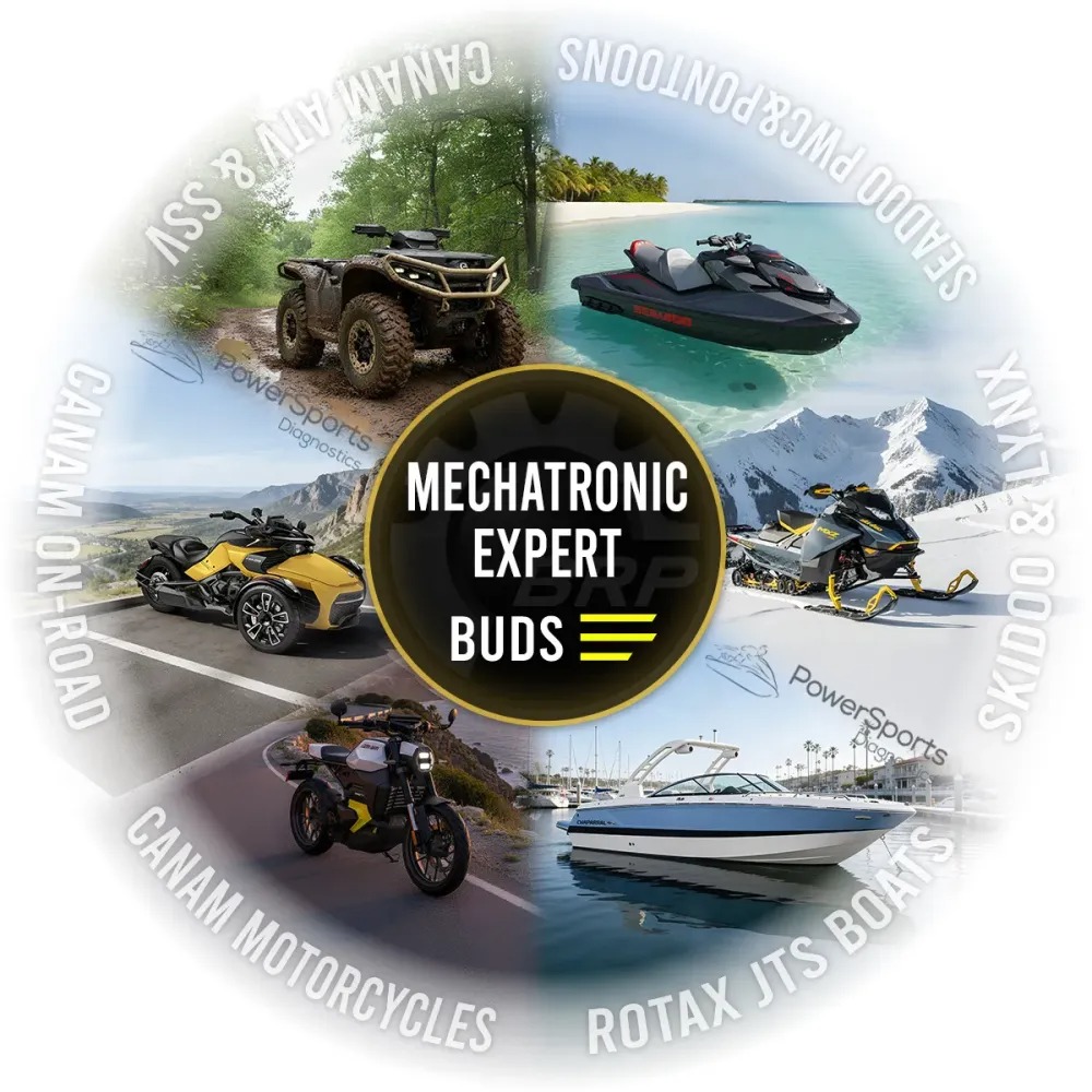 License MECHATRONIC EXPERT for BUDS3