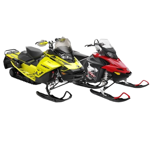 License SKIDOO & LYNX for BUDS / BUDS2