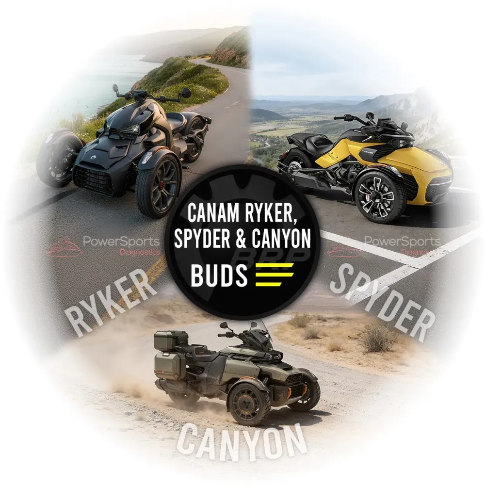License SPYDER / RYKER for BUDS3